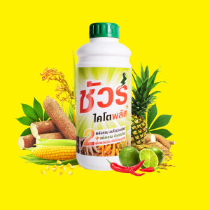 ชัวร์ไคโตพลัส 1000ซีซี 2ขวด สุดยอดวัคซีนพืชตัวเทพ+อะมิโนพืช ป้องกันโรคพืชแมลง โตไวลดปุ๋ย เขียวทนเขียวนาน ชุดของการผลิตเท่าตัว