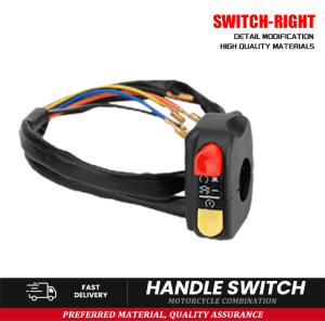 Domino Racing Switch Left & Right Uniuversal Made in Thailand