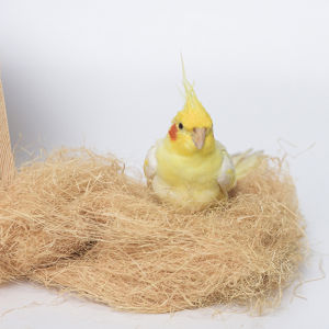 รังนอน กระรอก หนู นก หญ้าราฟฟี่ หญ้าราฟฟี่รองบ้านนก บ้านกระรอก บ้านหนู ออแกนนิก สำหรับสัตว์เลี้ยง