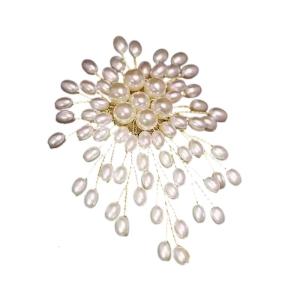 Imitation Pearls Brooch for Stylish Women Elegant Wedding Jewelry Party Suit Accessories Sophisticated Breastpin
