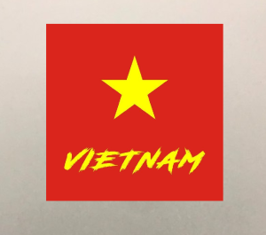 HÌNH IN ỦI NHIỆT ÁO-HÌNH LÁ CỜ CHÀO MỪNG 26-3 CHỮ LÊN ÁO ĐẸP MÊ LI-khuyến mãi-ủi trực tiếp lên vảiáo tại nhà bằng bàn ủi rất đẹp-MAJESTIC.CLO-LUCK