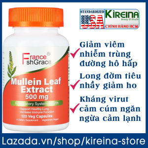 Viên uống Mullein Leaf Extract làm sạch giải độc tăng cường sức khỏe phổi và hô hấp 500 mg 120 viên