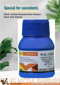 Jclsgp Succulents Root Rot Black Root Nemesis