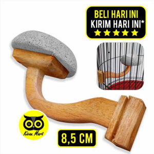 Kicau Mart Tangkringan Batu Apung Alam Pijakan Kaki Sangkar Kandang Burung Branjangan ABABTR