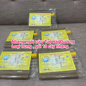 NHANG NGÃI CỨU TUỆ HẢI ĐƯỜNG LOẠI TRUNG -GÓI 10 CÂY NHANG - ĐẶC ĐIỂM CHÁY LÂU  NÓNG BỀN KHÔNG RỚT TÀN