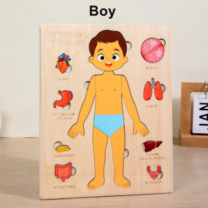 Puzzle Edukasi Organ Tubuh Anatomy Manusia Keterampilan Motorik Halus Anak MK139