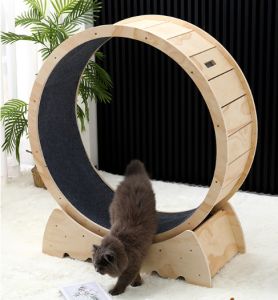✅Ready Stock✅ Pet Treadmill Cat Rattan Tickling Stick Kucing Indoor Running Run Wheel Roller Sport Toy Climbing Exercise