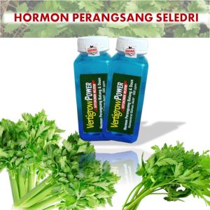 hormon sitokinin murni pemacu pertumbuhan tanaman daun dan batang cepat besar