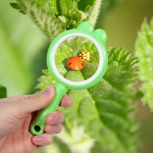 PTK52 Pink/Purple/Yellow/Green Bunny Magnifying Glasses Science Tool Reading Newspaper Handheld Reading Magnifier Useful Natural 4X Magnifyer Kids