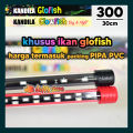 Kandila Lampu Glofish GLO 300 lampu view ikan glo fish glowfish. 
