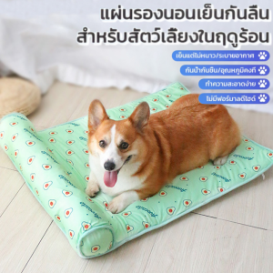 เสื่อน้ำแข็งสัตว์เลี้ยง พรมกันลื่นสําหรับสุนัขและแมว