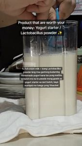 Ready Stock Yogurt Starter Probiotic Lactobacillus Powder Natural Fermentation Homemade Yogurt Easy Quick DIY Healthy Kitchen Supplies