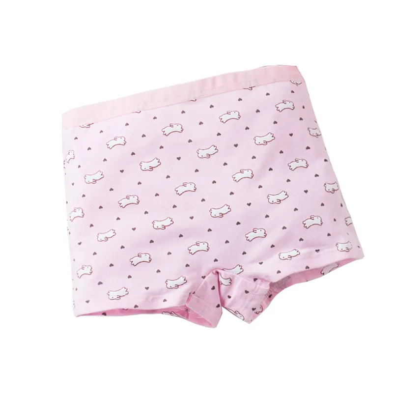 MML 4PCS Kids Cotton Panties 2-12 Years Girls Underwear Briefs Cute Cat Cartoon  Printed Children