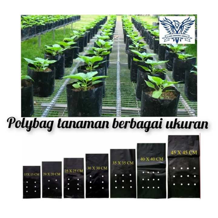 Plastik Polybag Tanaman 250 Gram Semua ukuran Lazada Indonesia