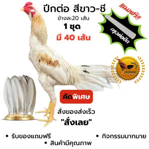 ปีกต่อไก่ชน ปีกไก่ชน 1ชุดมี 40เส้น (ขาว) (สา) (ดู่) (กรด) (หม่น) (ดอก) คัดพิเศษ ไม่เปาะ