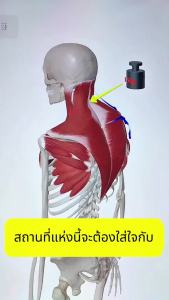 สายรัดกระชับรูปร่าง สวมใส่สบาย ใช้ได้ทั้งผู้หญิง และผู้ชาย ปรับท่าทาง เก็บช่วงเอว