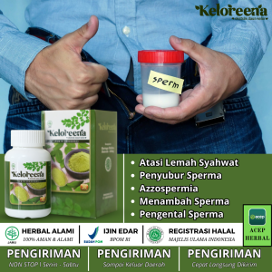 Obat Lemah Syahwat Pria Ejakulasi Dini Lemah Ereksi Sperma Kosong Mani Encer Dengan Keloreena Daun Kelor 50/100 Kapsul