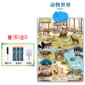 乐乐鱼LeLeYu Early Educational Audio Posters. Suitable for Toddlers Preschool Children