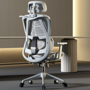 Ergonomic Chair Home Backrest Chair Comfortable Office Computer Chair Sitting Reclining Chair  (EW)