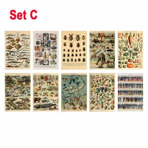 10/30Pcs Vintage Aesthetic Wall Collage Kit Botanical Insect Pictures Boho Art Posters Trendy 4x6 Poster Card for Dorm Decor