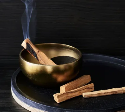 Palo santo Gỗ trắc xanh thanh tẩy Gỗ thánh Peru loại 1 thu hút năng lượng tích cực giảm stress Gỗ palo xông nhà khử mùi ẩm mốc thích hợp dùng trong thiền định tập yoga thanh lọc tâm hồn
