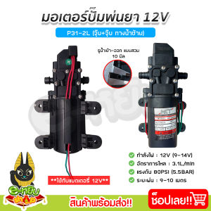 ปั๊มพ่นยาแบตเตอรี่ มอเตอร์ ปั้มพ่นยา ปั้มพ่นหมอก