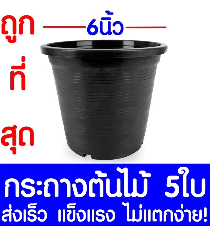 กระถางพลาสติกสีดำ ขนาด 6 นิ้ว แพ็ค 5 ใบ