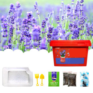 Bafada Childrens Planting Bar Kits Sun Room Planting Vegetables Fruit Science Experiment Set Handmade Diy Educational Stem Toys Stimulate Interest Enhance Parent-Child Relationship For Primary School Kindergarten