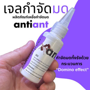 พร้อมส่ง เจลกำจัดมด ยาฆ่ามด ยากำจัดมด ตายยกรัง Anti Ant แอนตี้แอนท์ ขนาด30g/50g