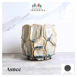 The Leaferie Asnee plant pots. Ceramic flowerpot . flowerpots . flower pot . planter . planters