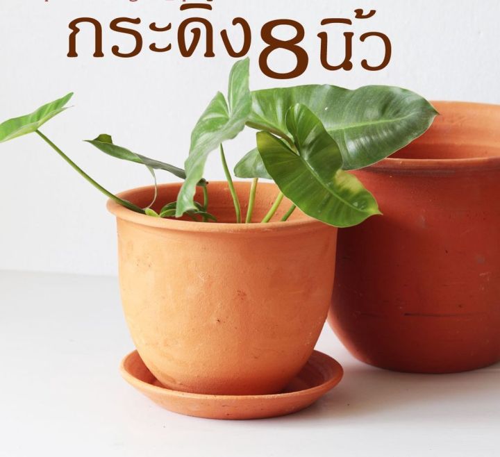 กระถางดินเผาทรงกระดิ่ง 8 นิ้ว พร้อมจานรอง