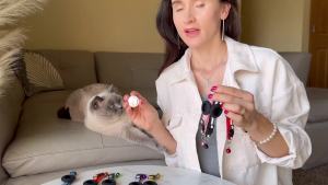 Airtag Cat Collar Breakaway with BellReflective Kitten Collar with Airtag Cat Collar HolderAdjustable 7-12InSafety Buckle for Girl Boy CatsPet SuppliesAccessoriesGifts