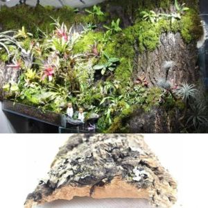 CARING PETS 5PCS Light Weight Reptile Climbing Bark Corrosion Resistance No Harm Natural Tree Bark Aquarium Decoration Natural Wood Tree Bark Cork Aquarium