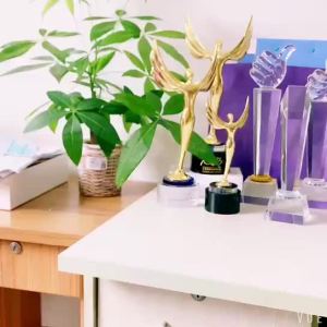 LZD  Crystal Trophy Lettering Can Be Set for the Games Award Trophy Multi-Model Diamond Award Seat Company Annual Meeting Commemorative Prize