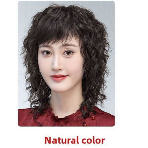 Silk Top Real Human Hair Full Wig for Middle Aged Elderly Women Natural Daily Fashion Wig