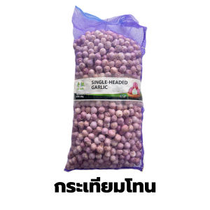 กระเทียมโทน กระเทียมโทนของใหม่ยกกระสอบ หัวสวยใหญ่ น้ำหนัก9-10กิโลกรัม