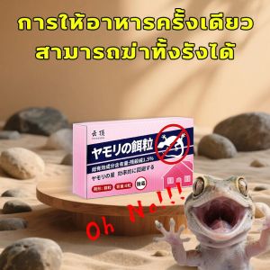 วิธีใหม่ในการฆ่าตุ๊กแกยาฆ่าจิ้งจก ยากำจัดตุ๊กแก ยาจิ้งจก ไล่จิ้งจก ไล่ตุ๊กแก ก้อนไล่ตุ๊กแก 8 ชิ้น เหยื่อล่อจิ้งจก ฃ่าต