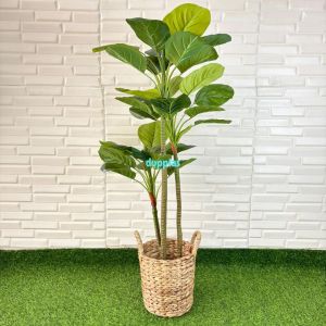 Pohon Plastik Tanaman Hias Apel T100 Latex Cover Pot Eceng Gondok Handle Hiasan Ruangan Dekorasi Kantor