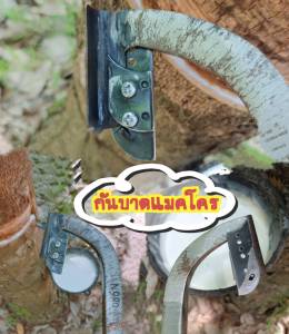 กันบาด (แม็คโค)ใช้กับมีดกรีดยางพารา แก้ปัญหามือใหม่กรีดยาง กรีดลื่น กรีดง่าย กรีดเร็ว ใช้ง่ายรักษาหน้ายาง ของแท้100%