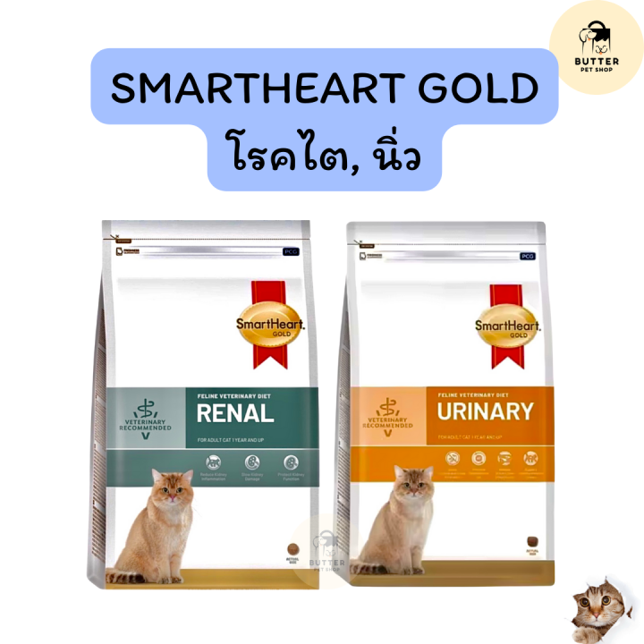 รวมลิสต์อาหารแมว SmartHeart ยี่ห้อไหนดี? ดูแลสุขภาพน้องเหมียวครบวงจร อัปเดตปี 2025