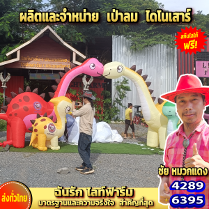 ตุ๊กตาเป่าลม สกีนโลโก้ฟรี!! เป่าลมไดโนเสาร์ ครบชุดพร้อมใช้ ตุ๊กตาเป่าลมเทศกาลต่างๆ