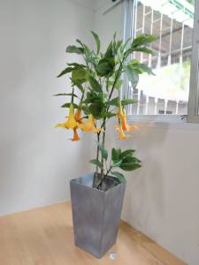 ต้นไม้ปลอม ต้นไม้ตกแต่งบ้าน ดอกไม้เทียม (ต้นแตรนางฟ้า) ขนาด 155cm