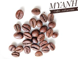 1kg cà phê nguyên chất rang mộc Myanh loại honey_Honey Coffee_ Vị đậm đà đắng nhẹ dư vị ngọt ngào_ Cà phê quà tặng biếu mùa lễ Tết