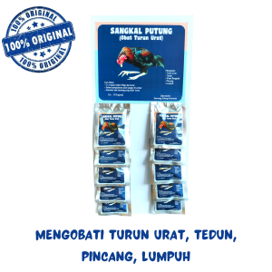 SANGKAL PUTUNG 1 RENTENG - obat ayam turun urat