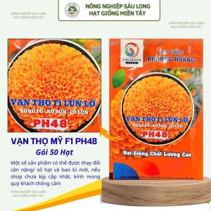 Gói 50 Hạt Vạn Thọ Mỹ F1 PH48 – Cam Đỏ Cổ Lùn Cao 40–45cm