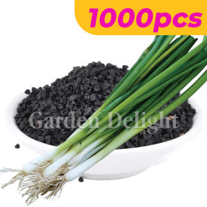 5000pcs Spring Onion seeds Bunching onion Scallion Seeds Small Vegetable Spring Onion Seeds Green Leek Onion Vegetable Seeds of fine Varieties