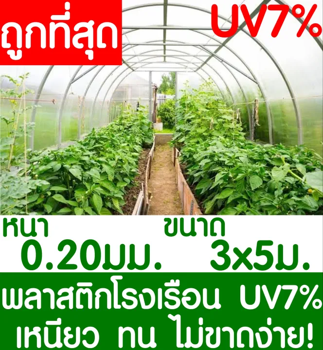 พลาสติกคลุมโรงเรือนสีใส ขนาด 3x5 เมตร หนา 200 ไมครอน ป้องกัน UV