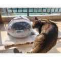 Japanese Seal Pillow Yuki Seal Plush Creative Ocean Pillow Stuffed Doll For Children. 