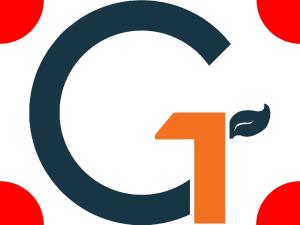 USB 2.0 Sandisk 16gb Ultra CZ50 cao cấp