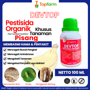 Obat Daun Kuning Pohon Pisang / Obat Semprot Pisang Paling Ampuh / Obat Hama Pohon Pisang / Obat Jamur Pada Tanaman Pisang / Obat Jamur Pohon Pisang / Obat Pisang Yg Kena Penyakit / Obat Pisang Kena Virus